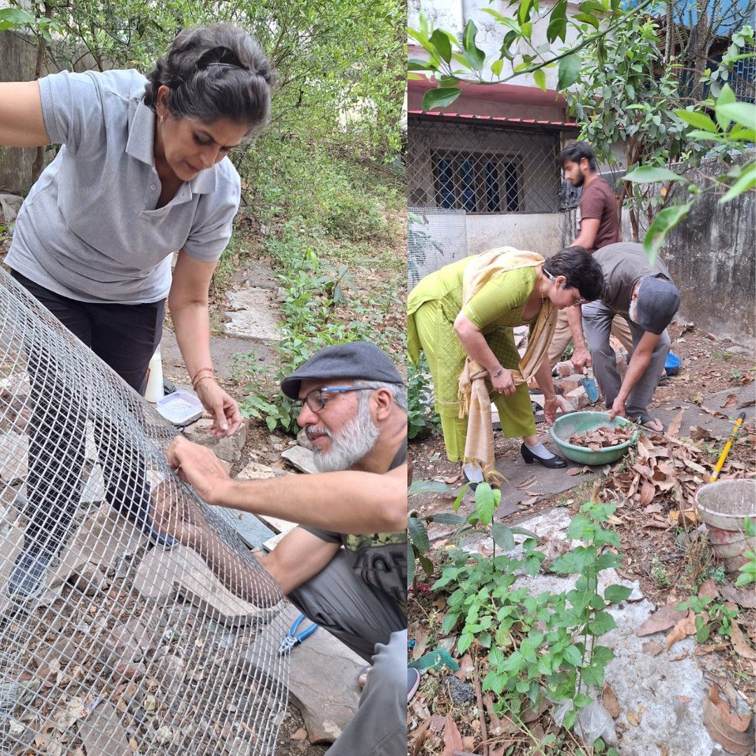Environmental Conservation